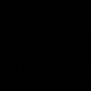 Meet your Posher, Mason